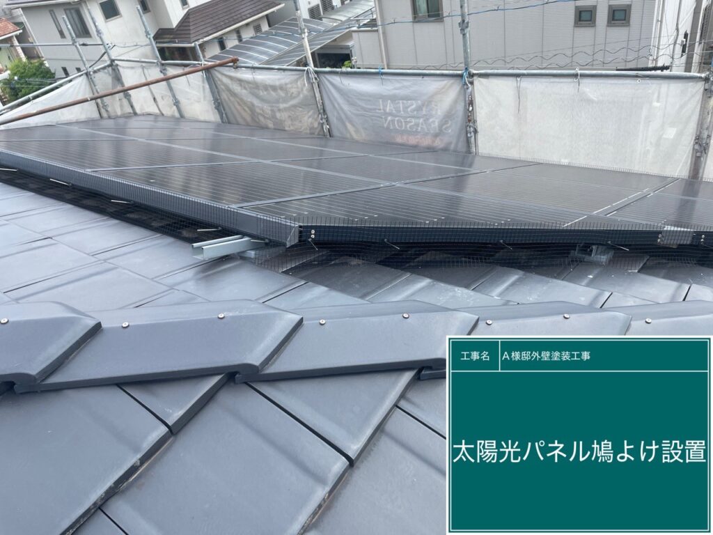 太陽光パネル鳩除け設置
